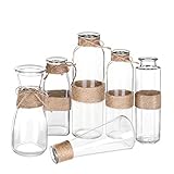 Jelofly Glass Vases Clear Flower Bud Vase in Differing Unique Shapes Creative Rope Design - Set of 6